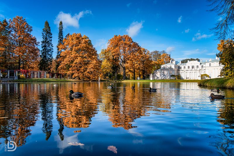 Китайский пруд у Китайского дворцаphoto preview