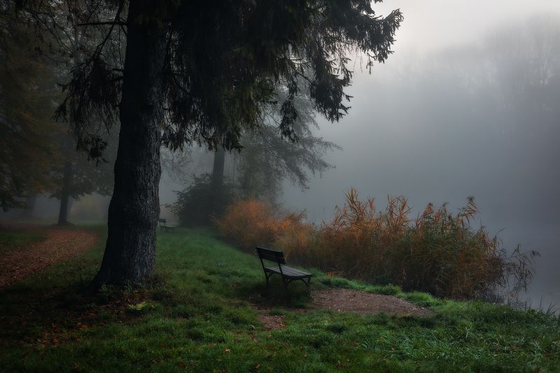 Misty morning фото превью