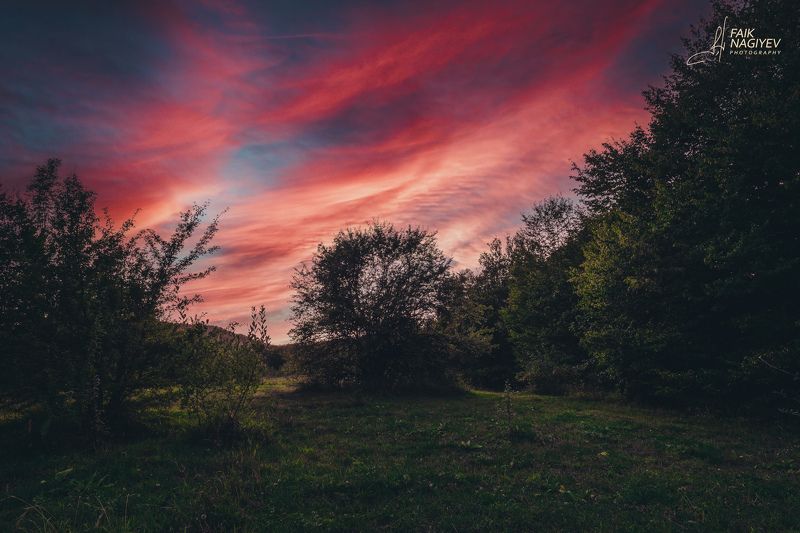 Спокойный закат в лесуphoto preview