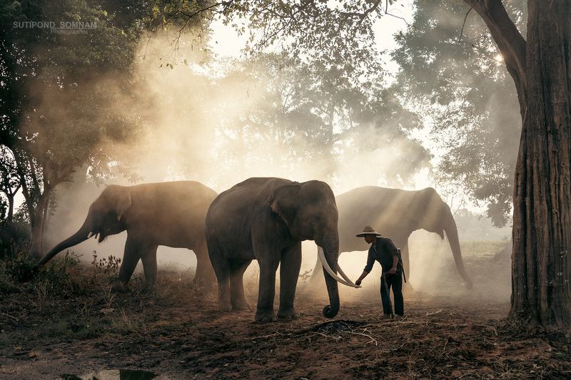 thailand Daily Life photo preview