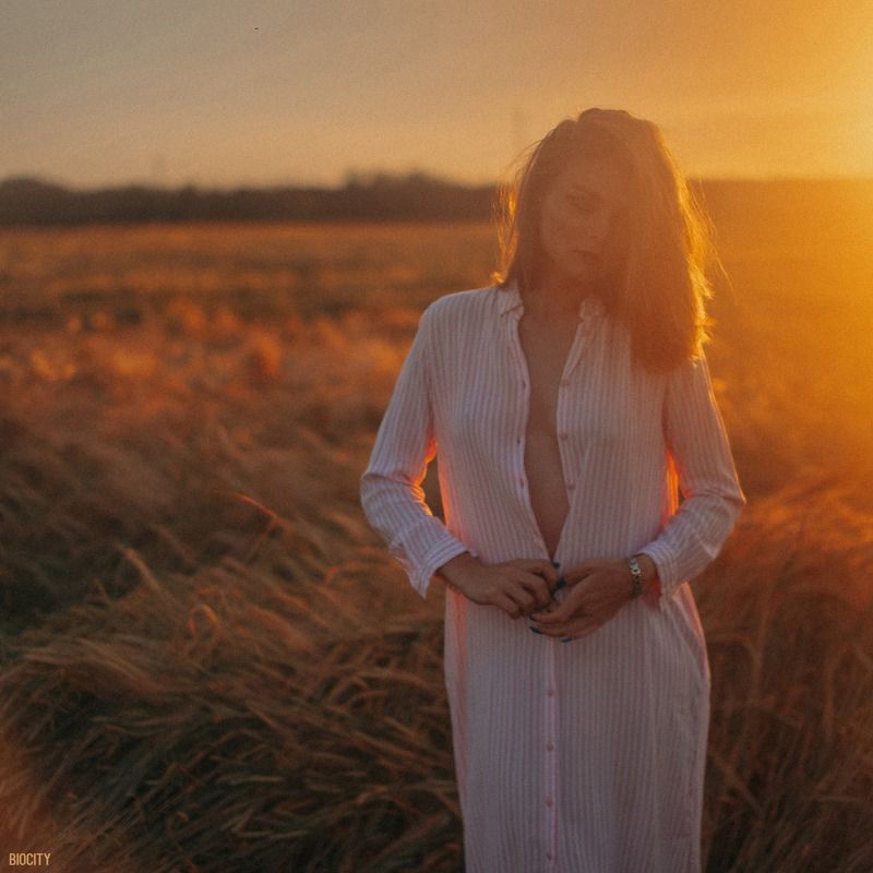 Вечернее полеphoto preview