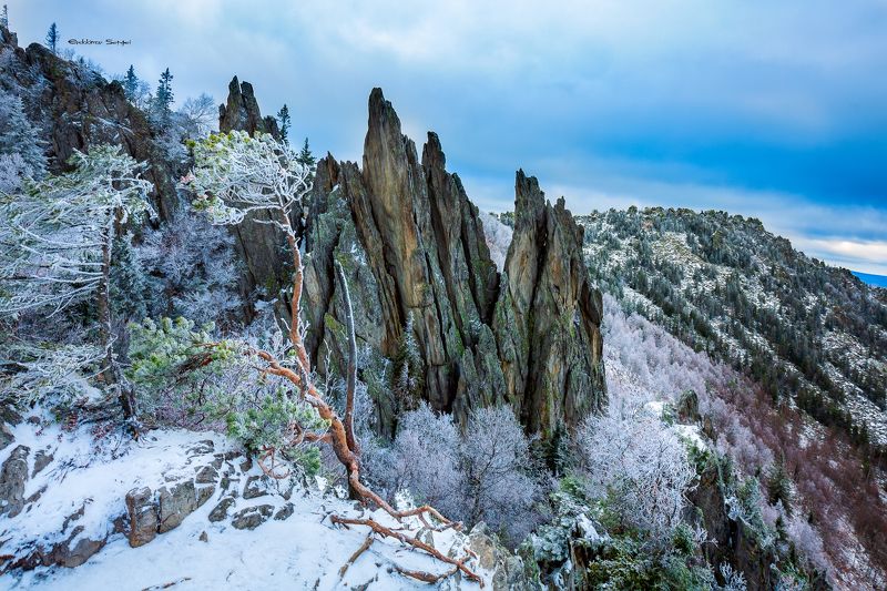 Перьяphoto preview