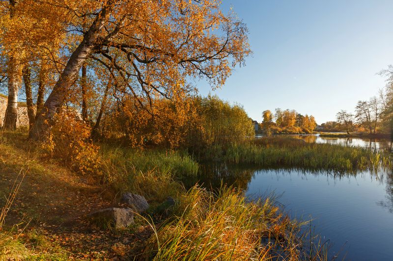 Солнечная осеньphoto preview