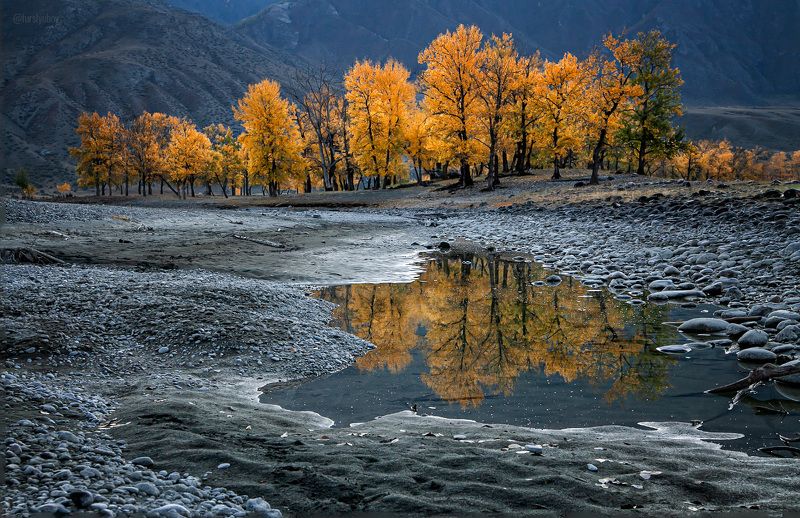 горный алтай, инегень, катунь, осень, фурслюбовь, furslyubov Прогулки вдоль Катуни.photo preview