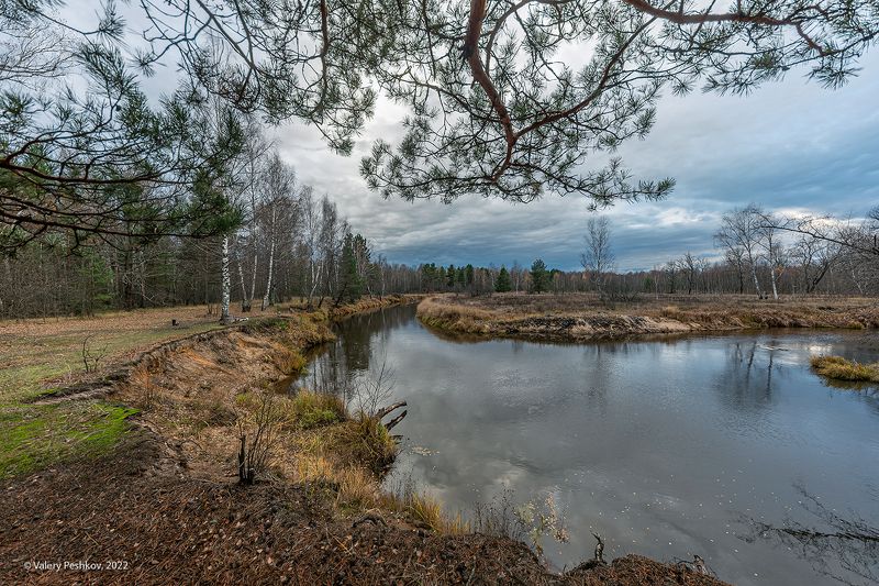 осень, осенняя река, отражения, графика крон, старица, мещёра, рязанская область. Мещёра актуальнаяphoto preview