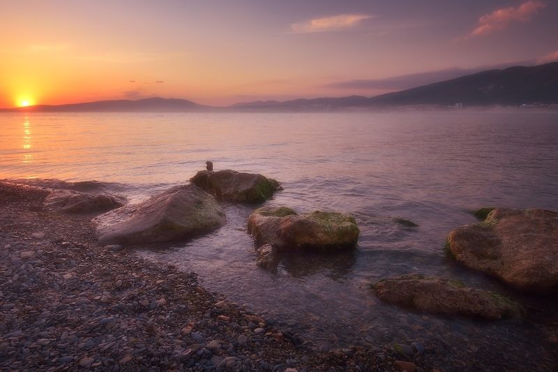 Вечер в фиолетовомphoto preview