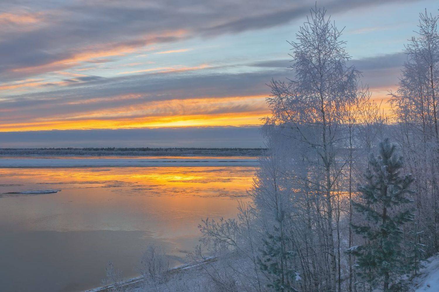 Утро на р. Печора. Автор: Игорь Подобаев печора, коми, осень, Игорь Подобаев