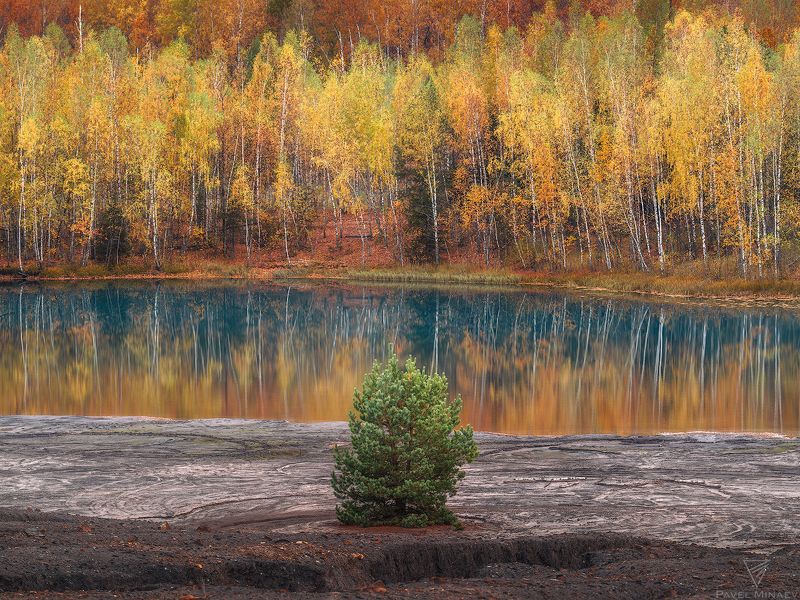 Золотая осеньphoto preview