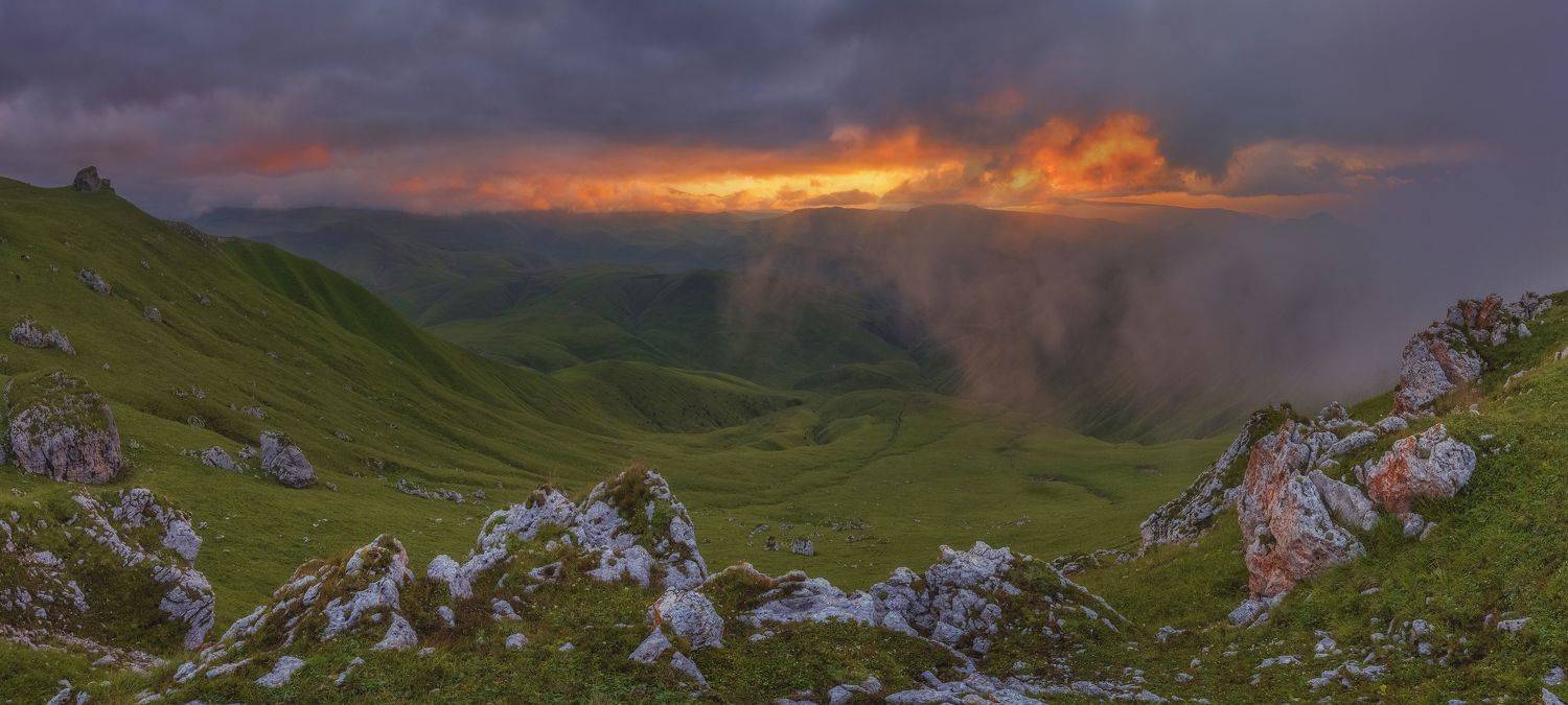 , ПУЗЕНКО ДМИТРИЙ