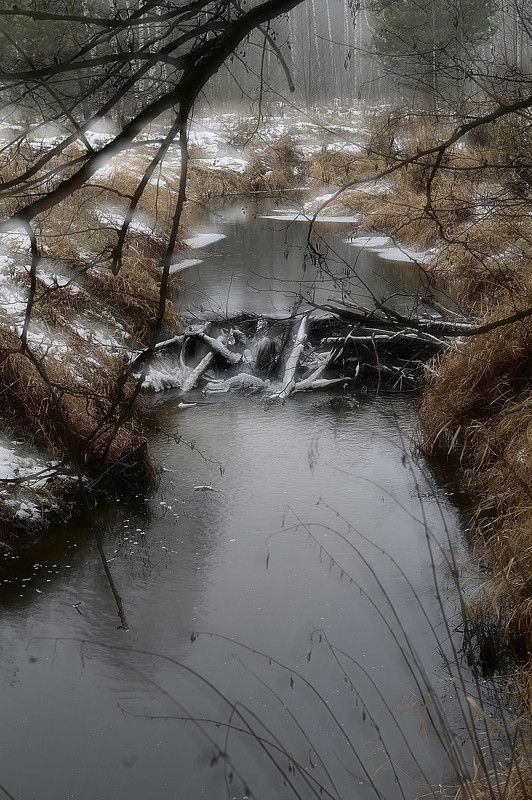 Уже скоро фото превью