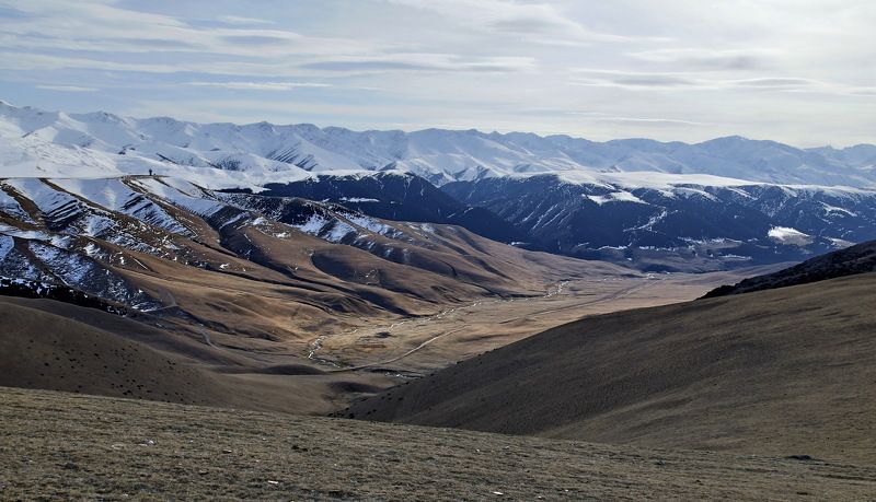 АССЫ -Тургеньphoto preview