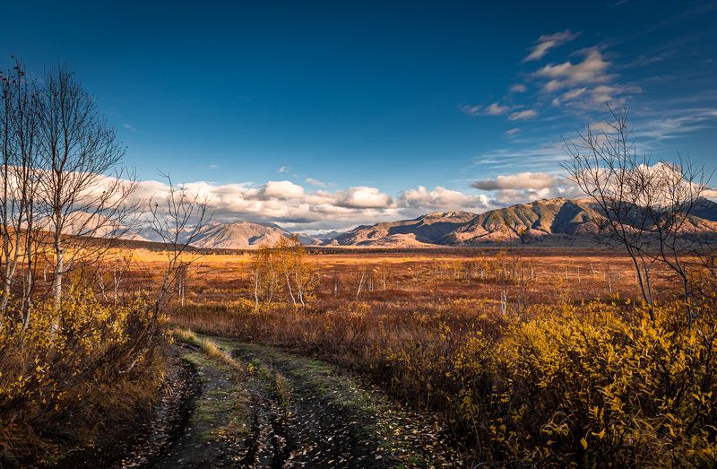 ганальская тундра ,камчатский край ...photo preview