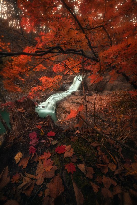 водопад, осень ***photo preview