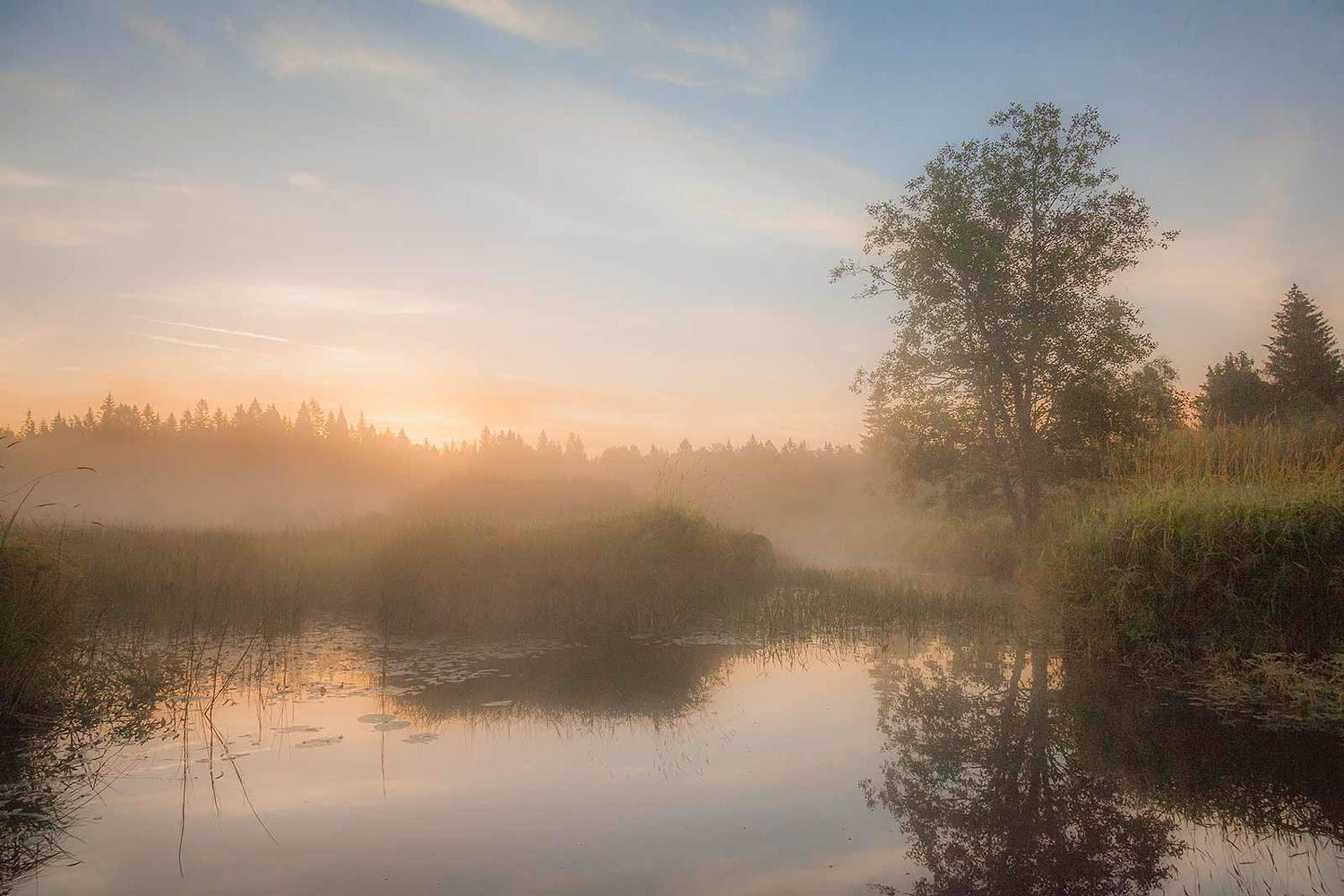 , Напалкин Станислав
