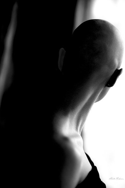 into the lightphoto preview