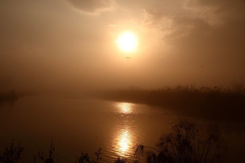 Утро..photo preview