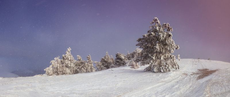 Демерджи, Зима, Крым, Снег Метельphoto preview