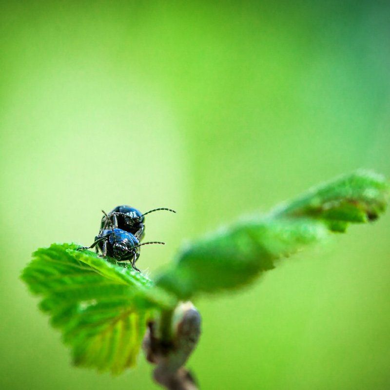 Без названияphoto preview