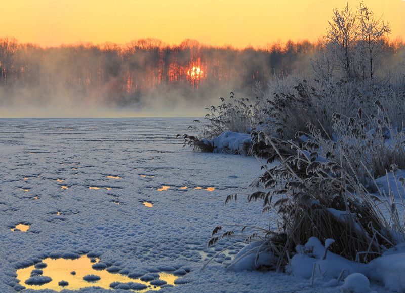 Рассветное золото...photo preview