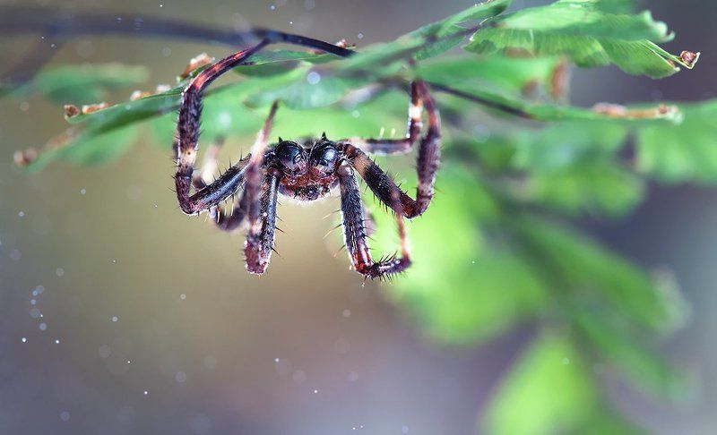 Вверх тормашками.photo preview
