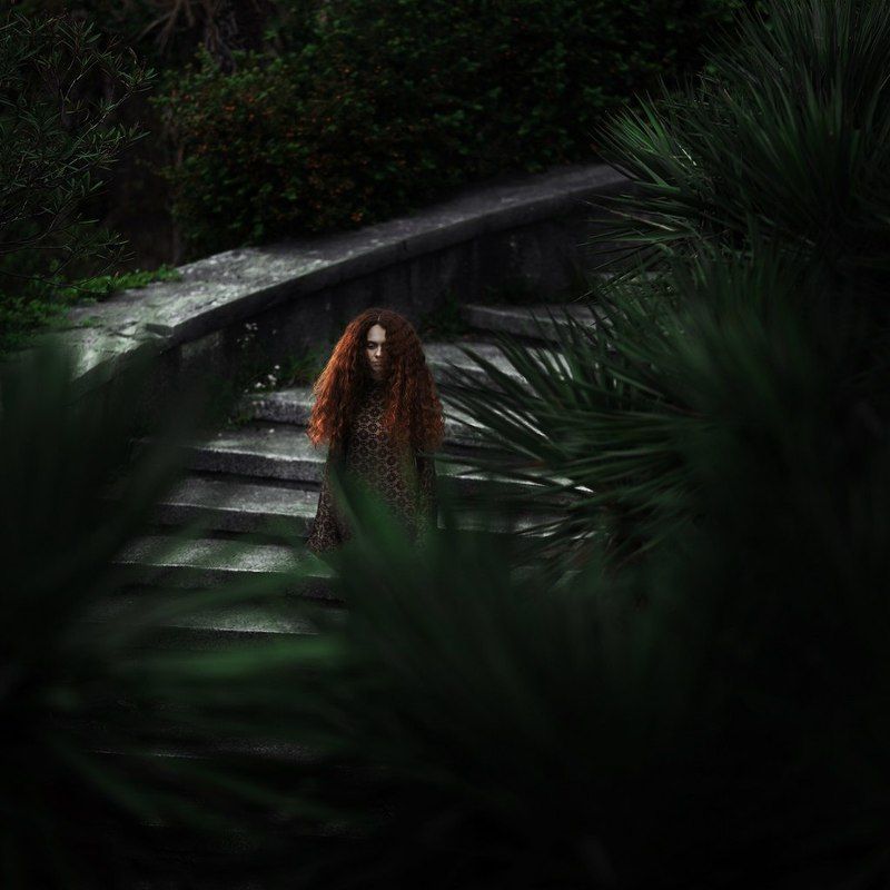 *** фото превью