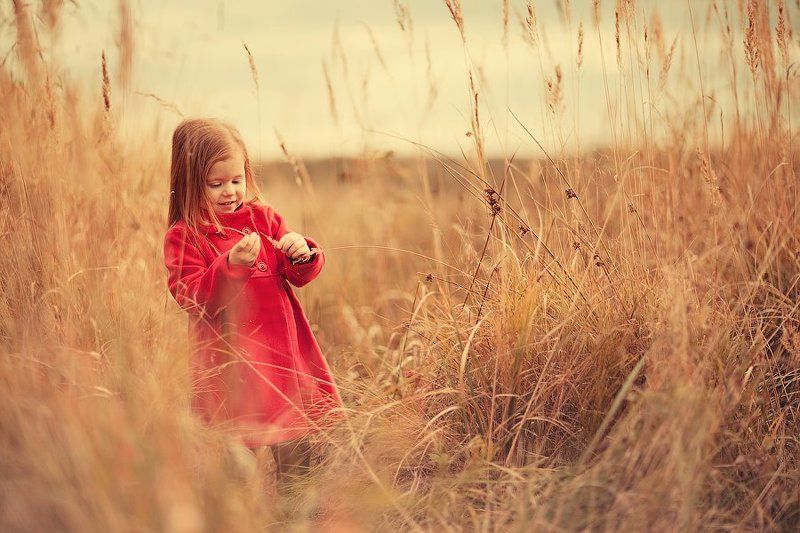 детский фотограф, Наталья Блицена, kids cute  В поле. photo preview