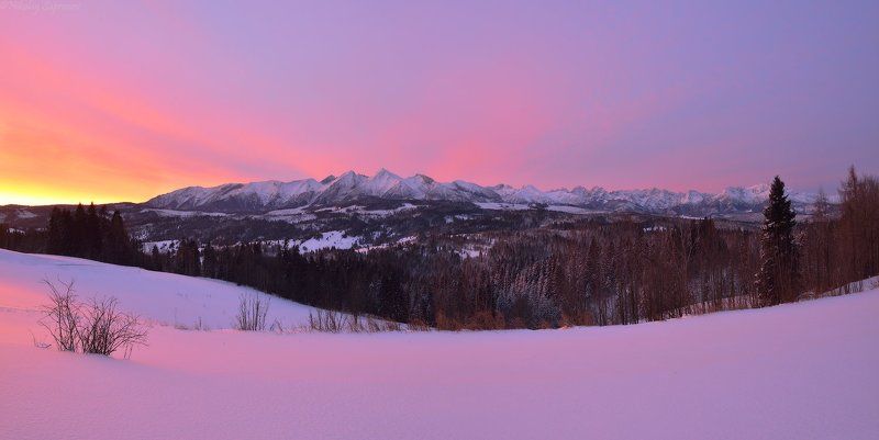 belianske tatry, татры, белянские татры, высокие татры, горы, панорамы, рассвет, яркий рассвет, зима, зимний рассвет, рассвет в горах Панорама Белянских Татр на январском рассветеphoto preview