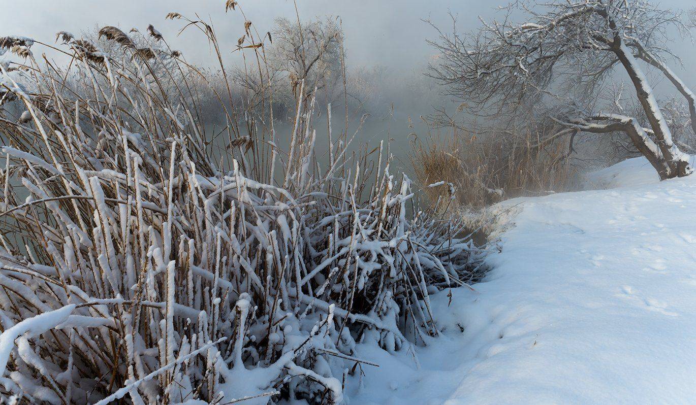 О чем шепчут камыши. Автор: Alexander Plekhanov , Alexander Plekhanov