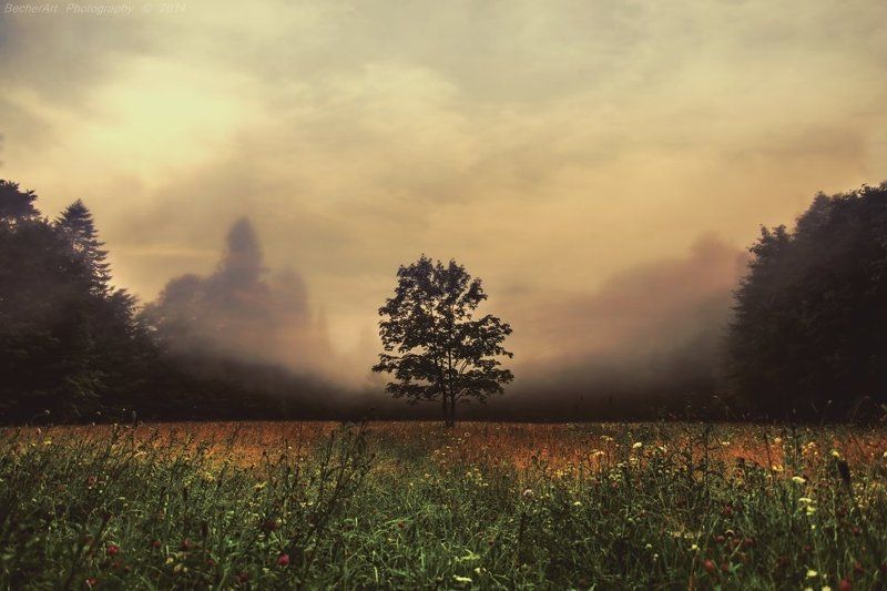 Monologue IIIphoto preview