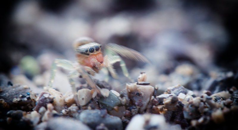 «Ножки в кеды и бегом бегом бегом»photo preview