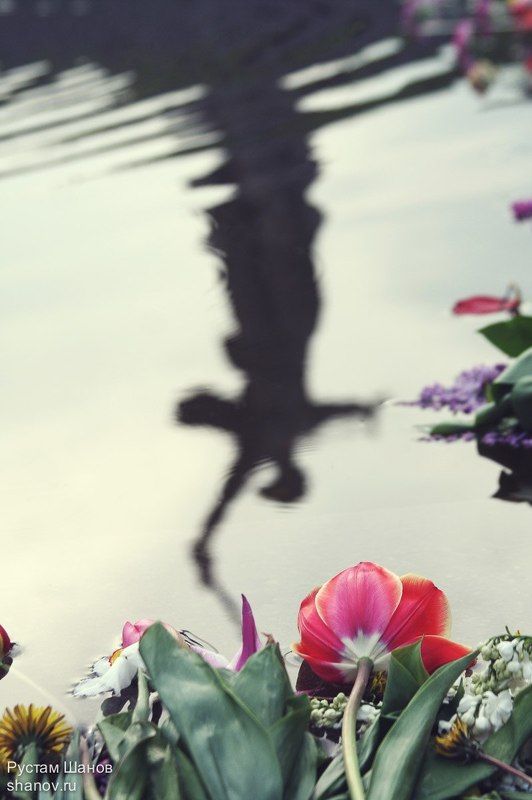 Родина-Мать, Волгоград, Рустам, Шанов, 9 мая Родина-Мать зовет!photo preview