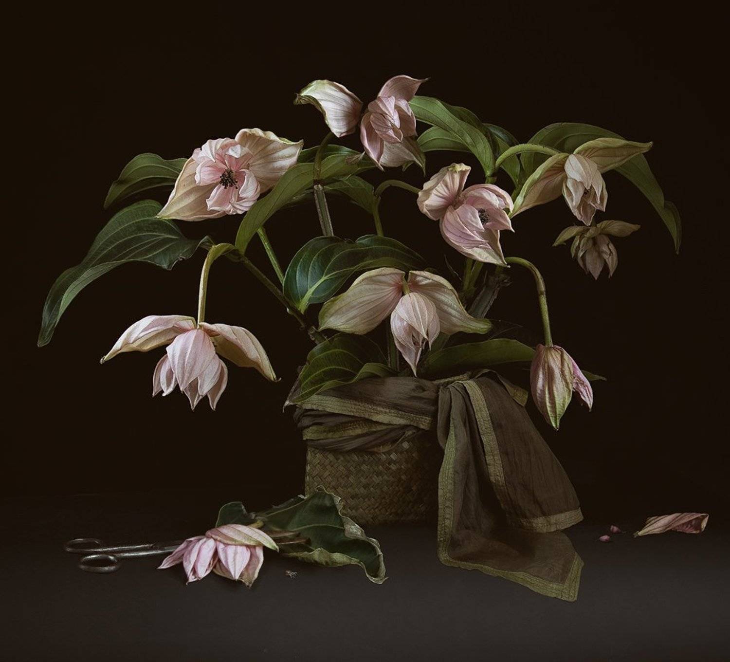 , Гелена Гленкова