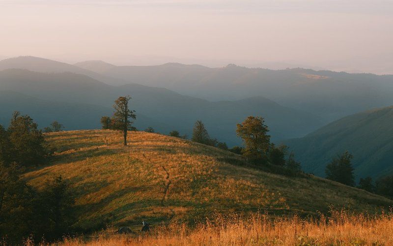 Первые лучиphoto preview