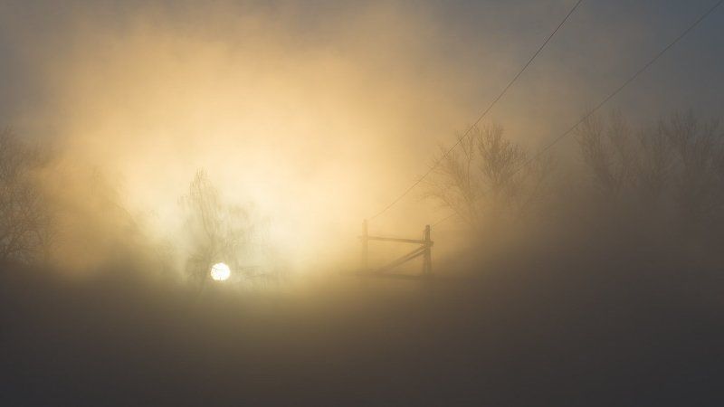 Иней, Мороз, Солнце, Туман Мороз и солнце, туман и иней... фото превью
