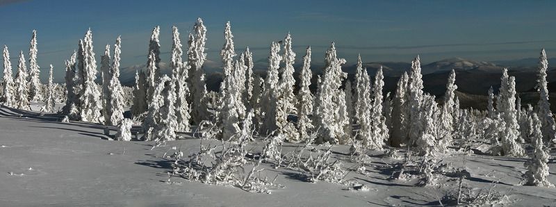 Зимняя зарисовка.photo preview