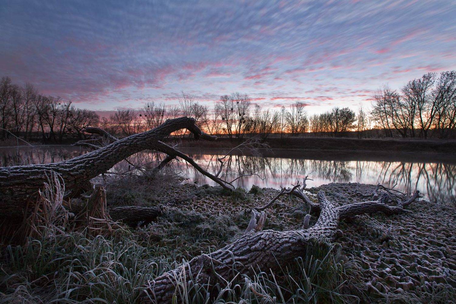 Автор: фабьян , фабьян