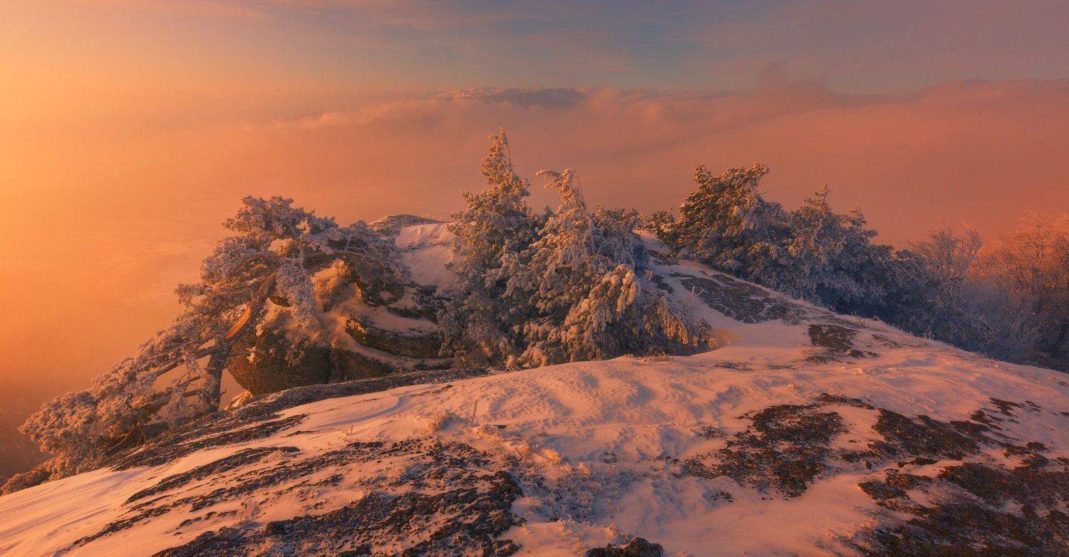 , Андрей Уляшев (Mercand)