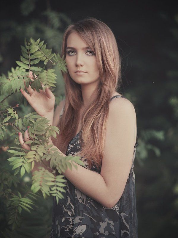 Forest storiesphoto preview