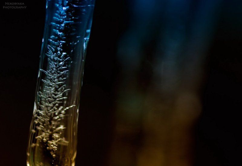 ice candyphoto preview