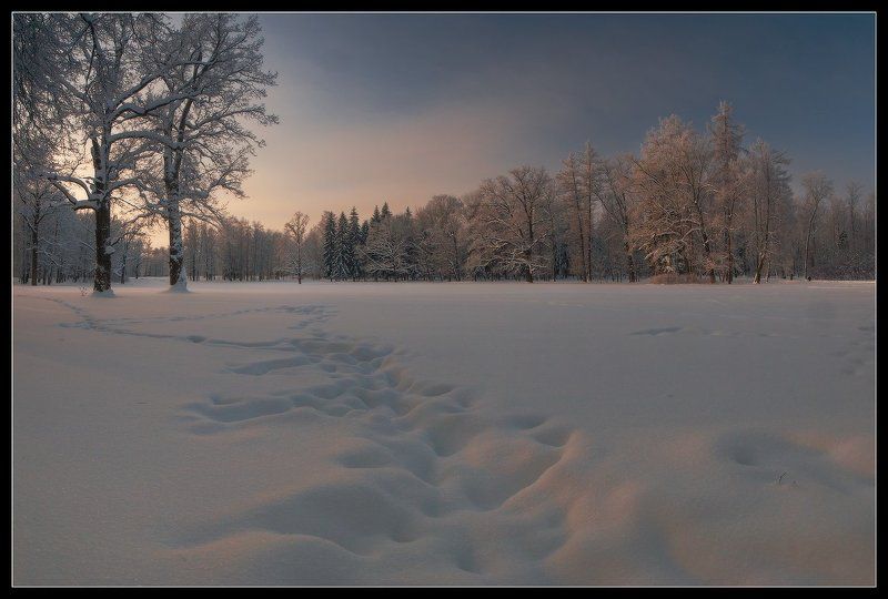 про Зиму в Пушкинеphoto preview