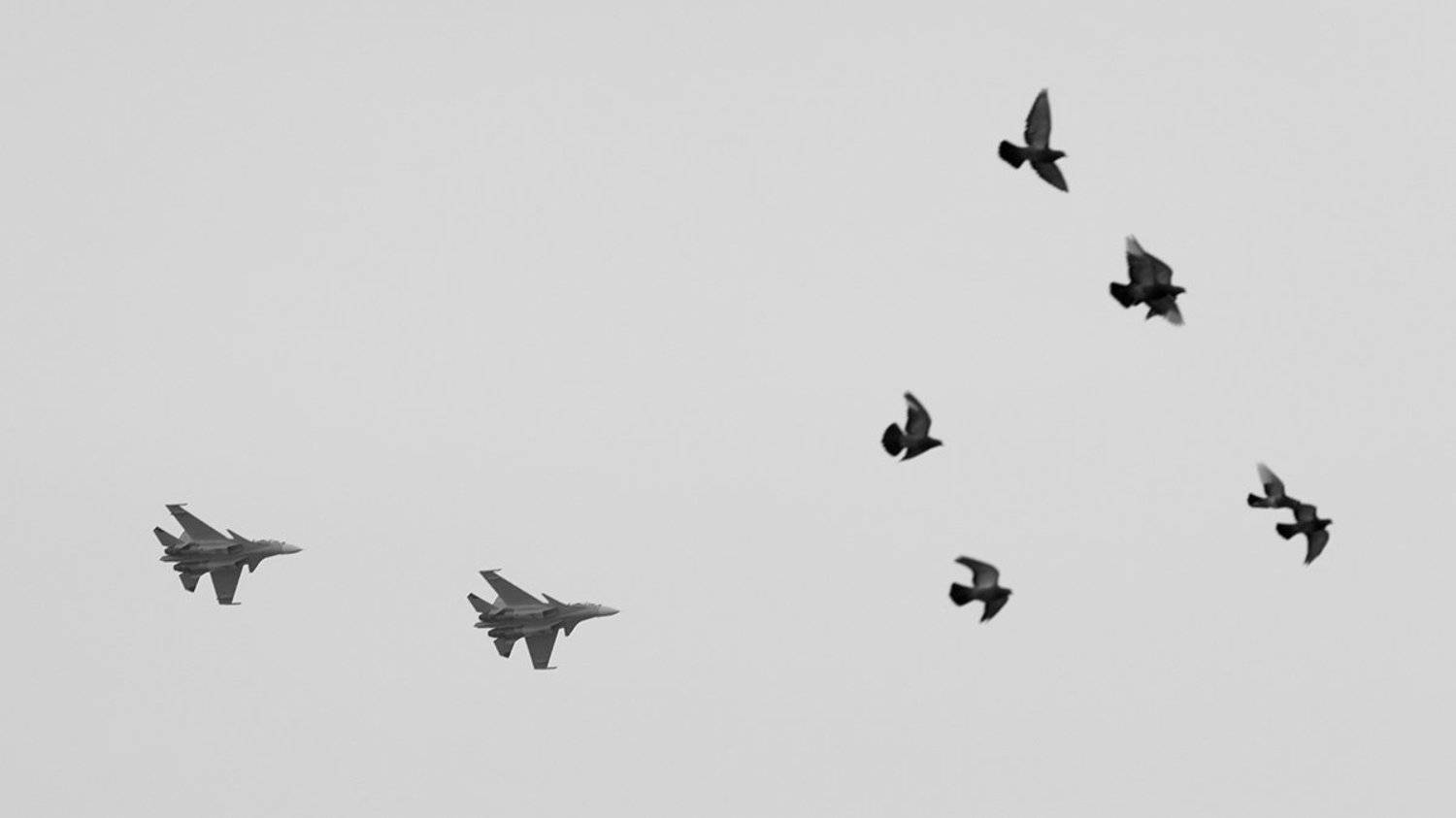 , Дмитрий Антипов