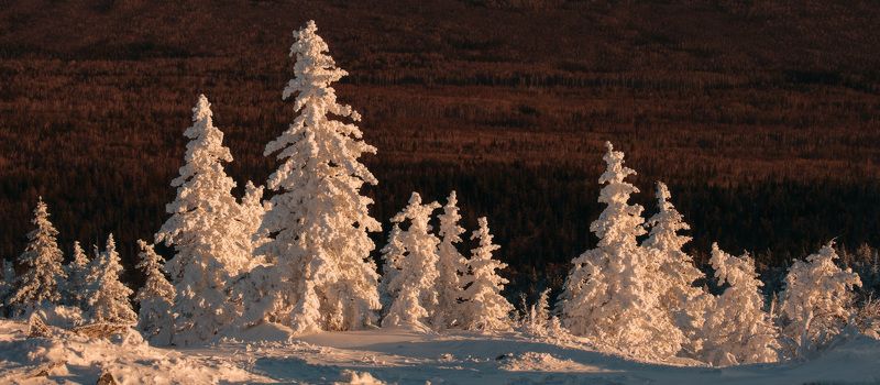 Сад камней и снежных скульптурphoto preview