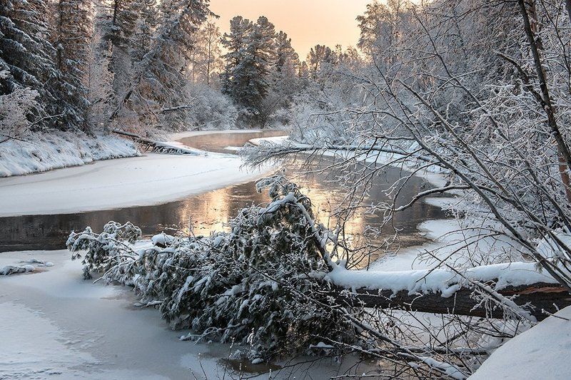 Факелаphoto preview