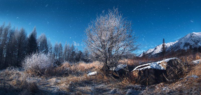 первый снег фото превью