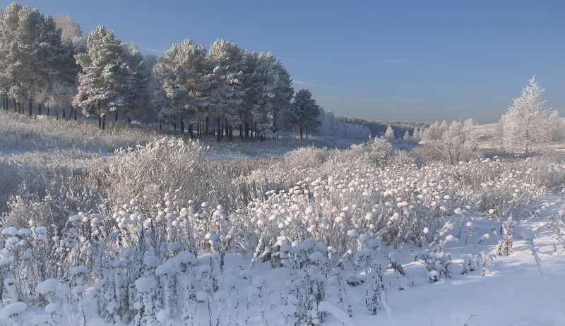 По морозцу...photo preview