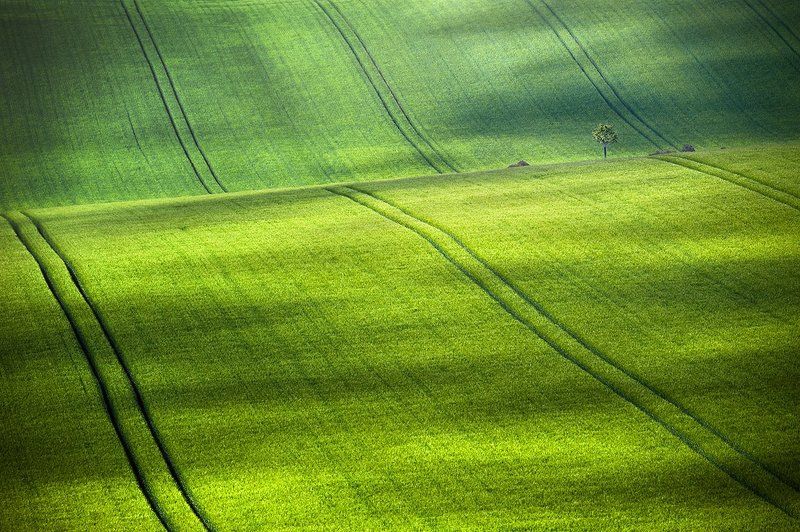 Lines фото превью