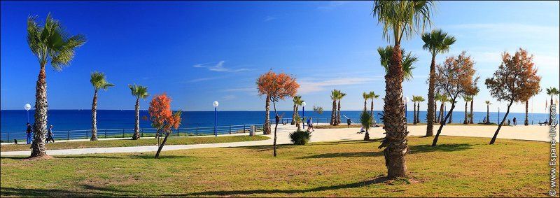 Фото Испании, пальмы, море, набережнаяphoto preview