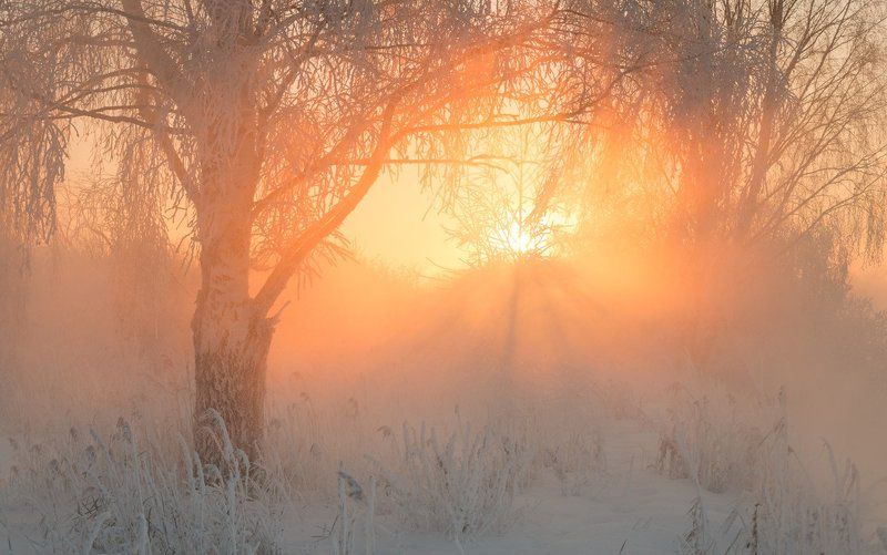 Про зимние рассветыphoto preview