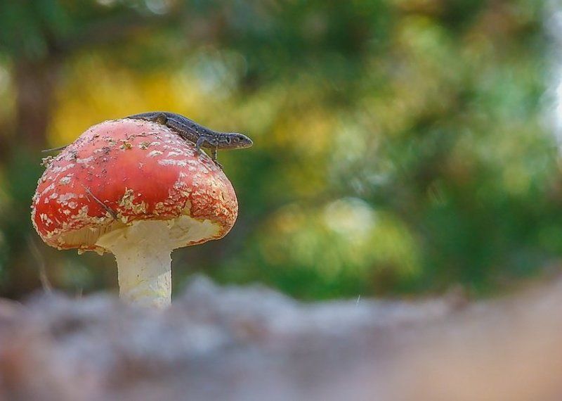 На старт, внимание...photo preview