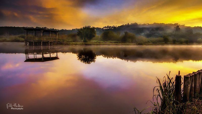 Magic wake upphoto preview